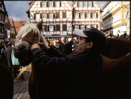 Leonberger Pferdemarkt 2019