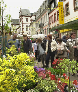 Ostern 2006 – Merziger Blumenmarkt