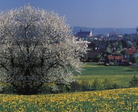 Die Karwoche und Ostern in Altötting