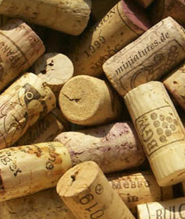 Frühlingsfest im Weingut Raßkopf-Hofmann Frühlingsfest im Weingut Raßkopf-Hofmann
