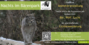 Nachts im Bärenpark
