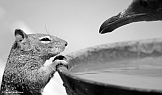 Familienrundgang > Wildlife Familienrundgang > Wildlife