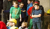 Familiensonntag: Tier-Olympiade Familiensonntag: Tier-Olympiade