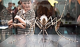 Jugendclub > Echt stark – Parasiten Jugendclub > Echt stark – Parasiten