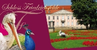 FAUNA-Salon im Schloss Friedrichsfelde