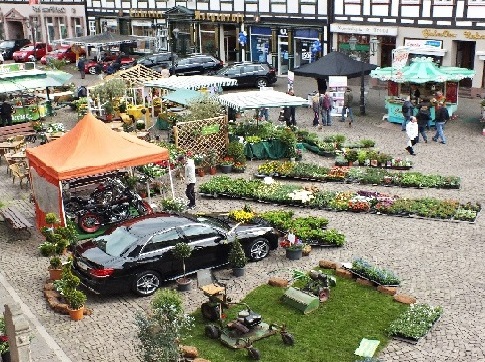 Frühling – Mittendrin! Frühling – Mittendrin!
