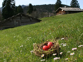 Ostereiersuchen für Kinder