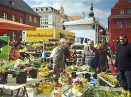 16. Greifswalder Blumen- und Ostermarkt