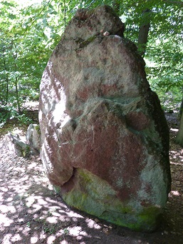 4. Hinkelstein Wandermarathon/Trail 4. Hinkelstein Wandermarathon/Trail
