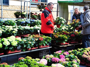 Frühjahrsmarkt in Lengerich 2019