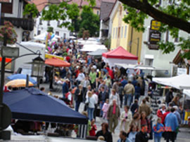 Mitterfelser Markt-Meile mit Regionaltag 2008