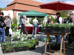 ABSAGE vom 14. Frühlingsfest mit Natur-, Gärtner- und Handwerkermarkt