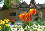 Rothenburger Frühjahrswanderwoche