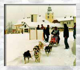 Internationales Schlittenhunderennen Internationales Schlittenhunderennen