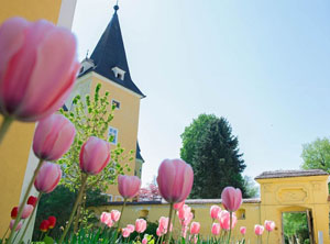 Ostermarkt Schloss Mühldorf 2023