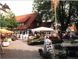 Geranien- und Frühlingsmarkt Geranien- und Frühlingsmarkt