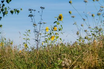 Teufelstour-Wanderung Teufelstour-Wanderung