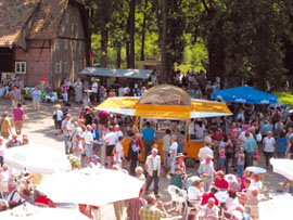 Ginsengfest auf dem historischen Helkenhof Ginsengfest auf dem historischen Helkenhof